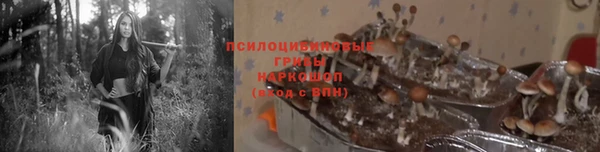 тгк Алзамай