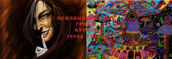 тгк Алзамай