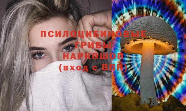 тгк Алзамай