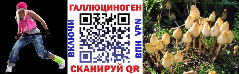 наркошоп  Старый Оскол  Галлюциногенные грибы прущие грибы 